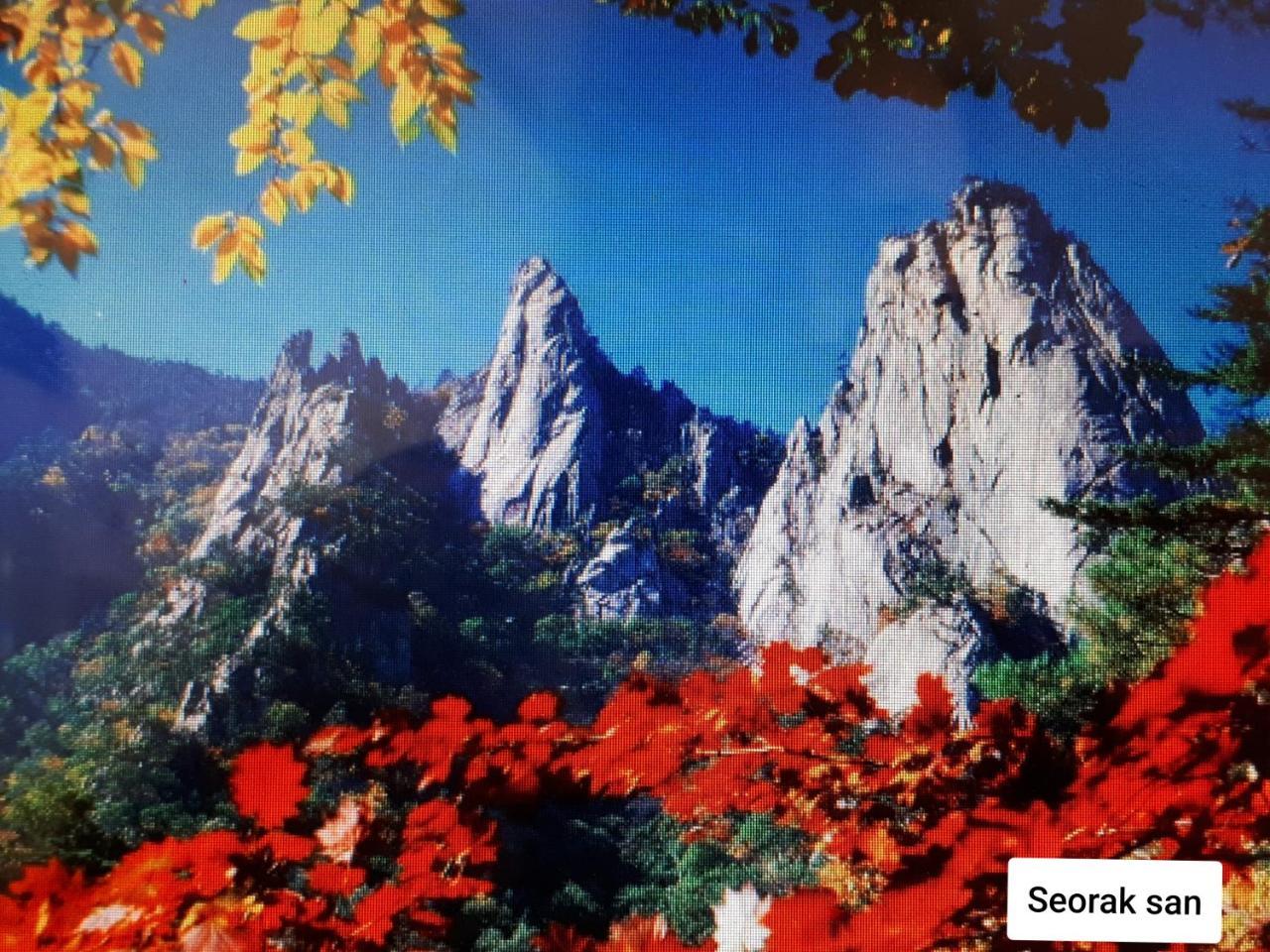 Heidi Korea Хончхон Экстерьер фото